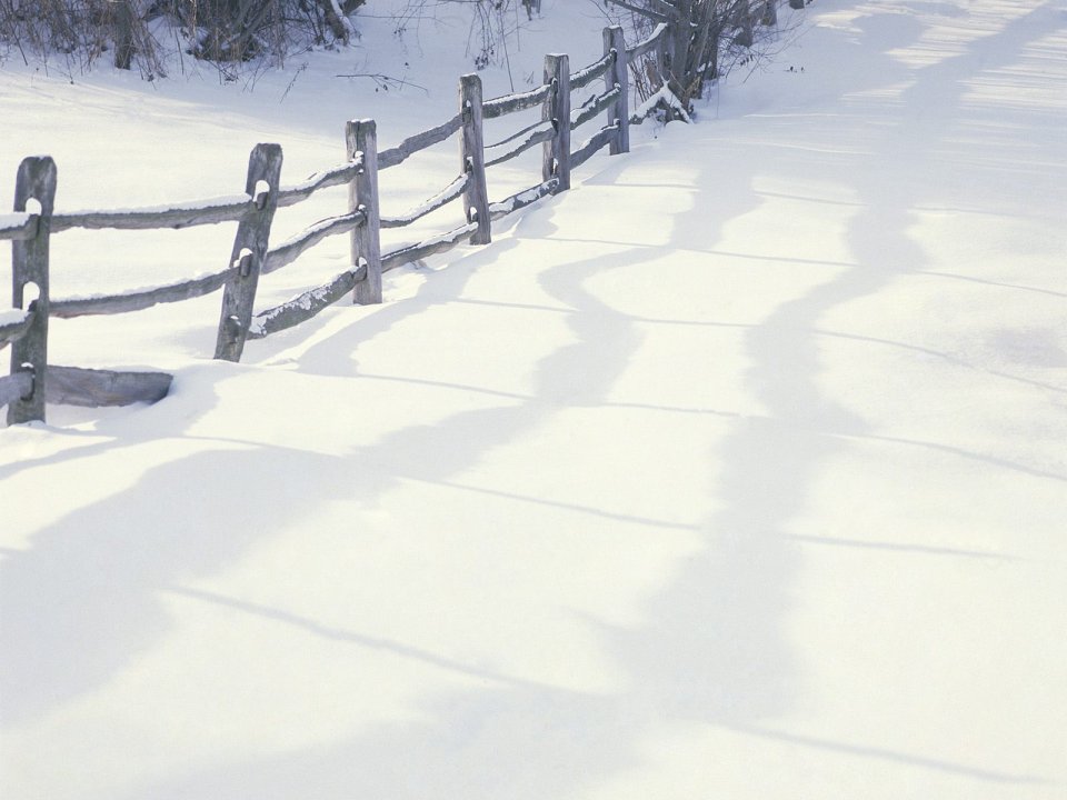 冬日雪地木栅栏景观