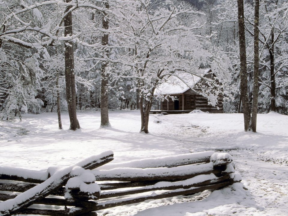 Quiet Wooden Cabin In Winter Forest