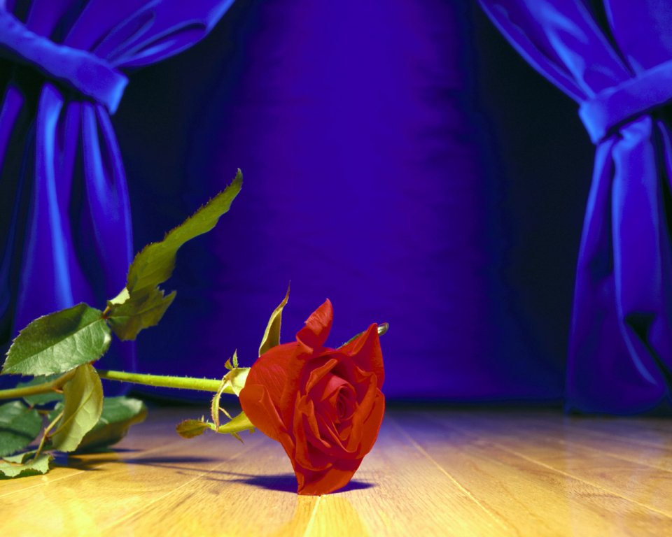 flower_art_2001