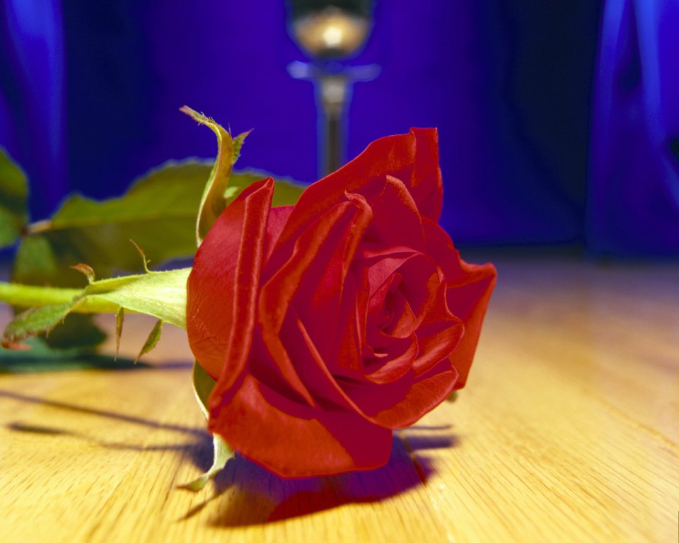 flower_art_2002