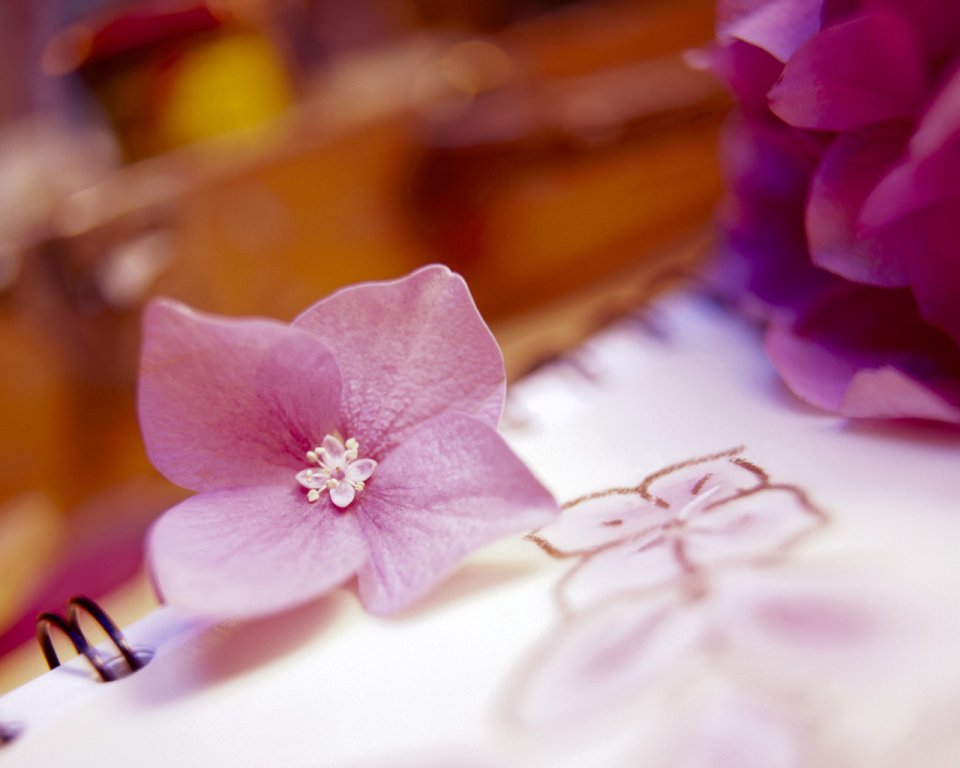 flower_art_2007