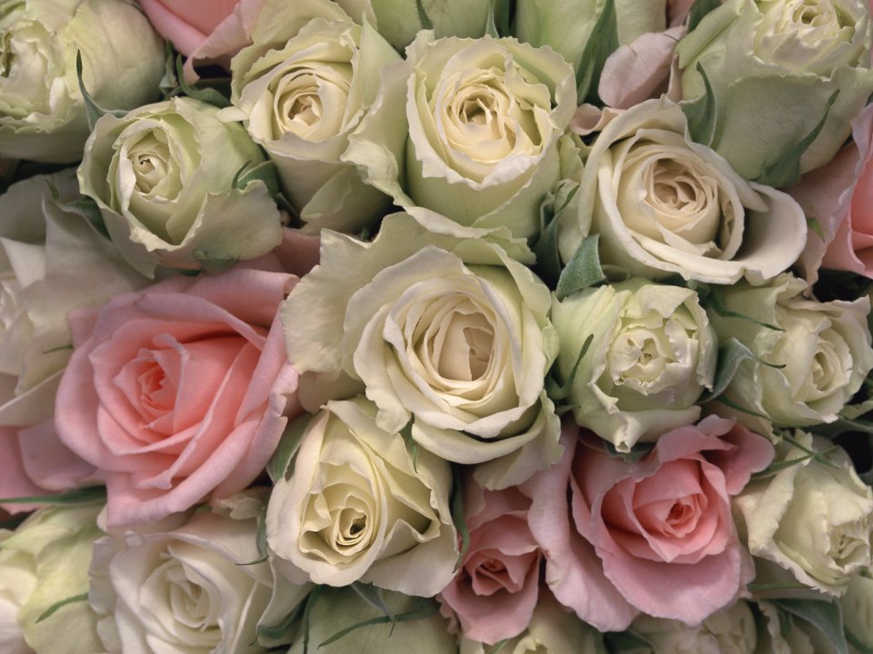 Flower_art_DT022