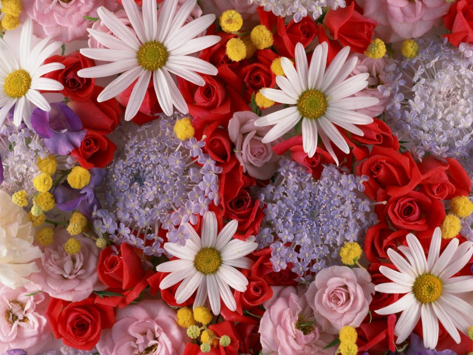 Flower_art_DT033