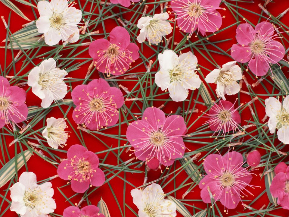 Flower_art_DT053