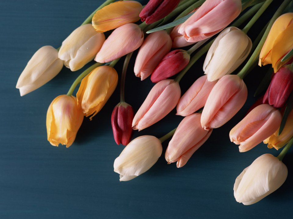 Flower_art_DT084