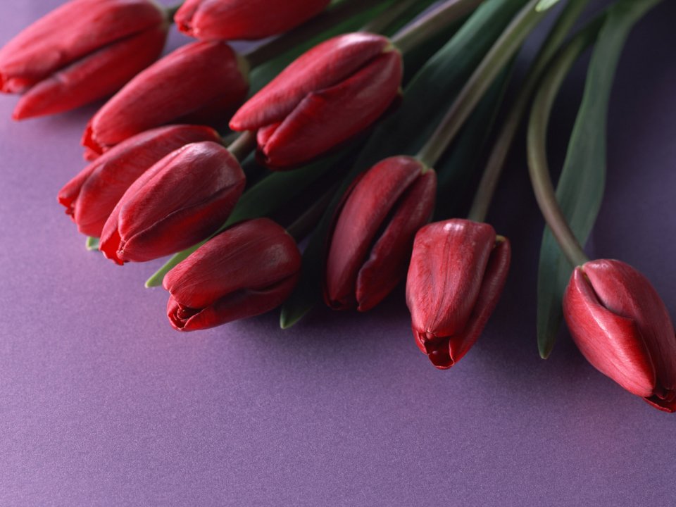 Flower_art_DT085