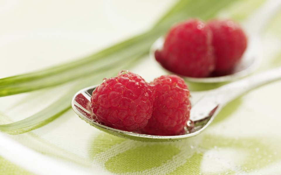 fresh_fruit_dessert_photo_JT137