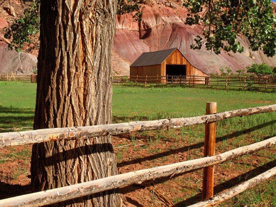 Fruita_Barn_Capitol_Reef_National_Park_Utah