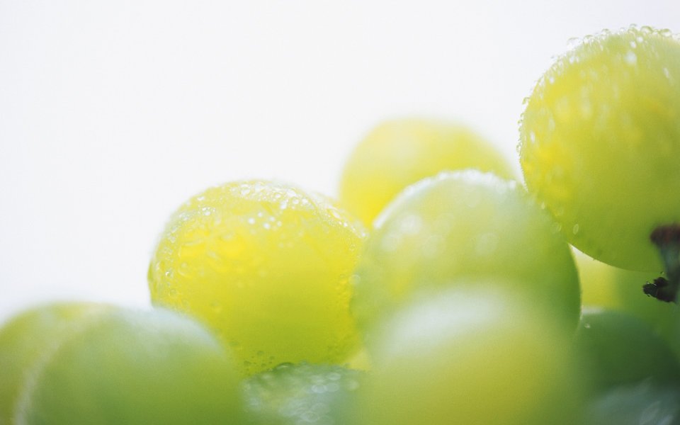 Fruits_and_Vegetables_Photos_MIL05082