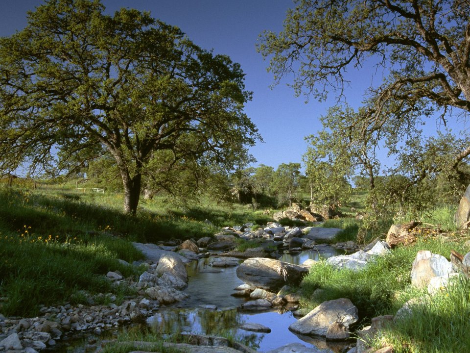 Gold_Country_California