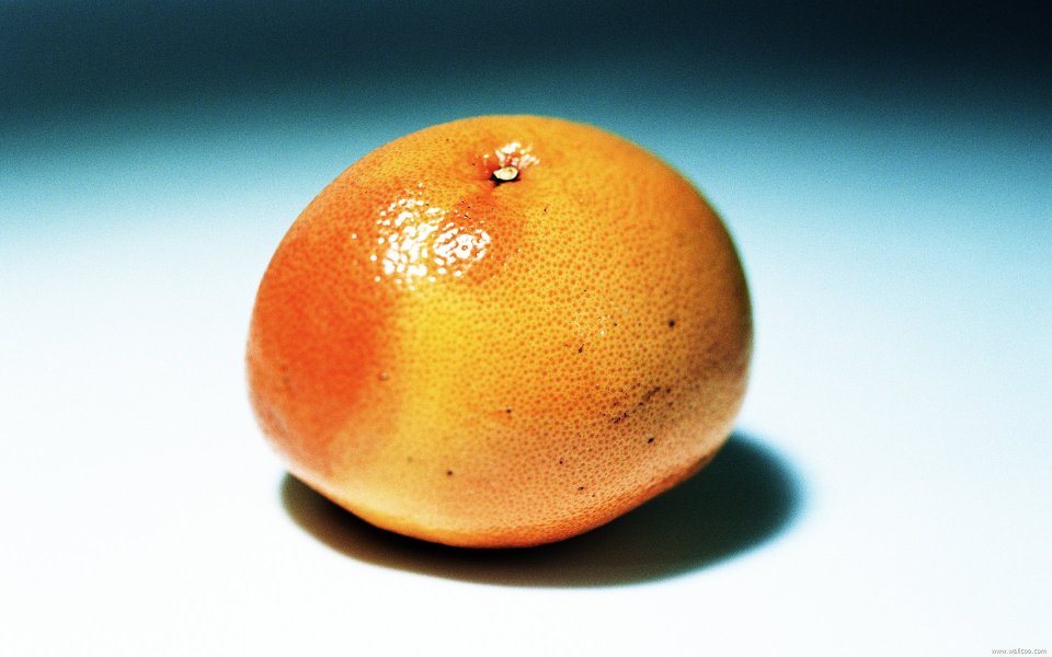Grapefruit, close-up