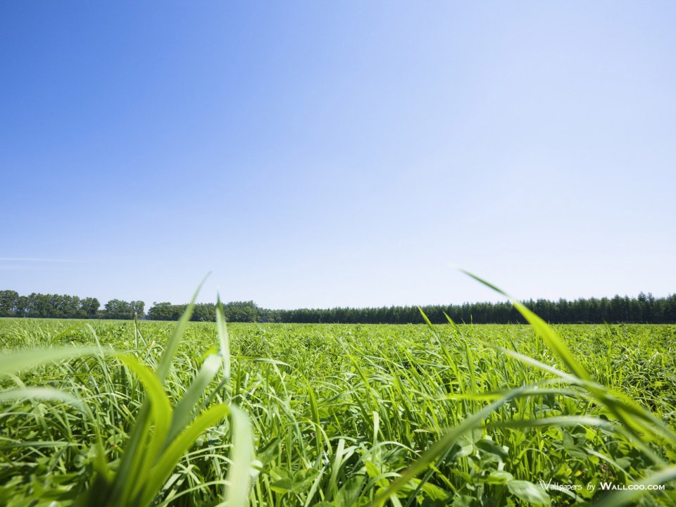 green-grassland-under-sky-photo-004