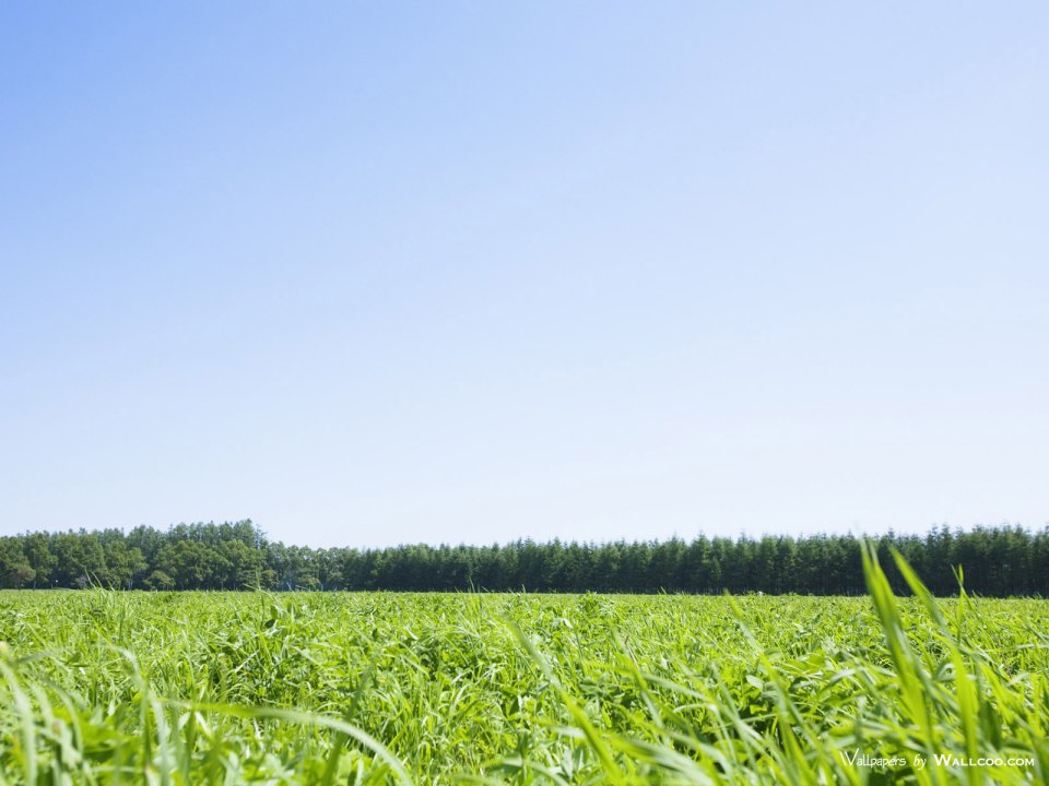 green-grassland-under-sky-photo-006