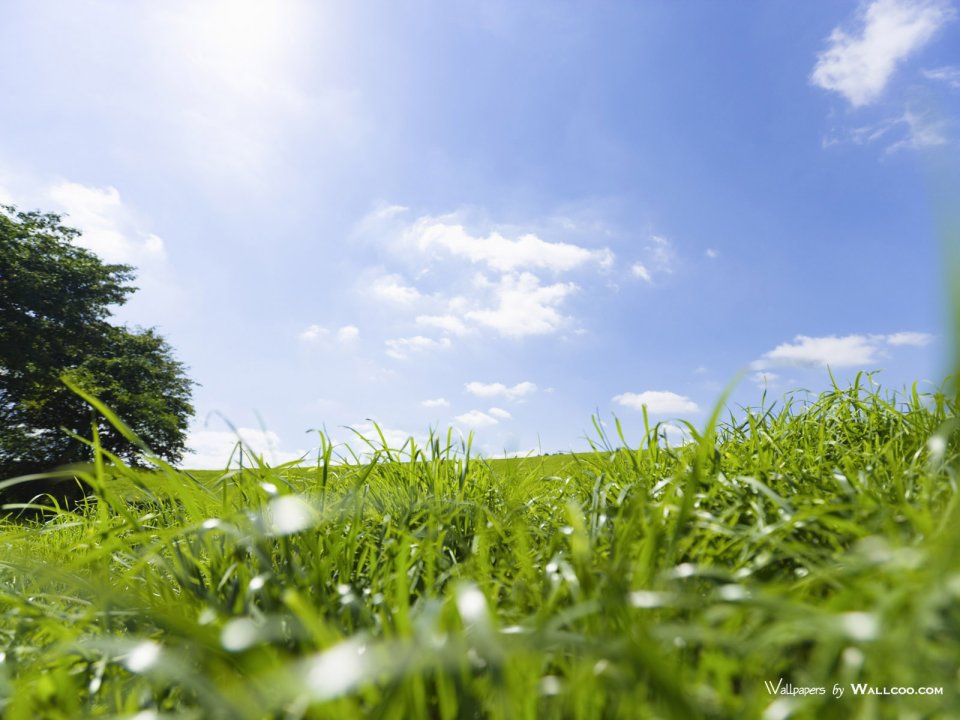 green-grassland-under-sky-photo-008