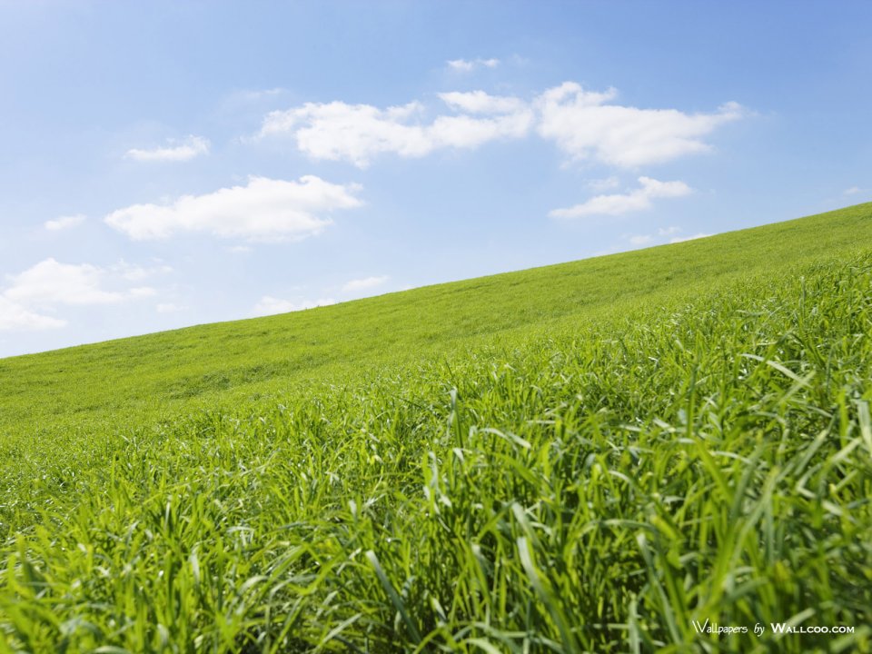 green-grassland-under-sky-photo-010