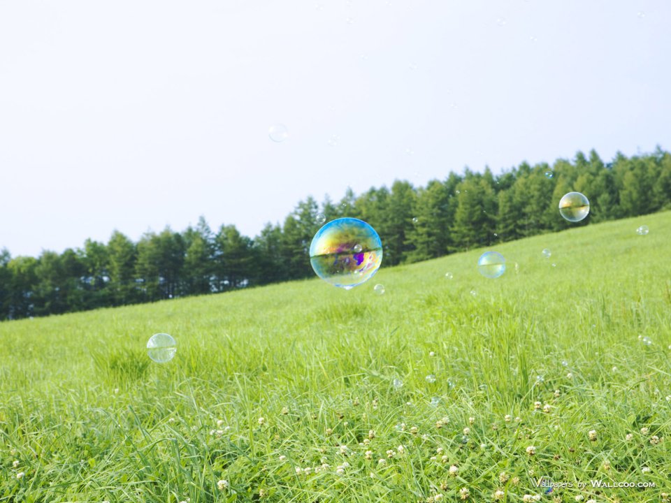 green-grassland-under-sky-photo-014