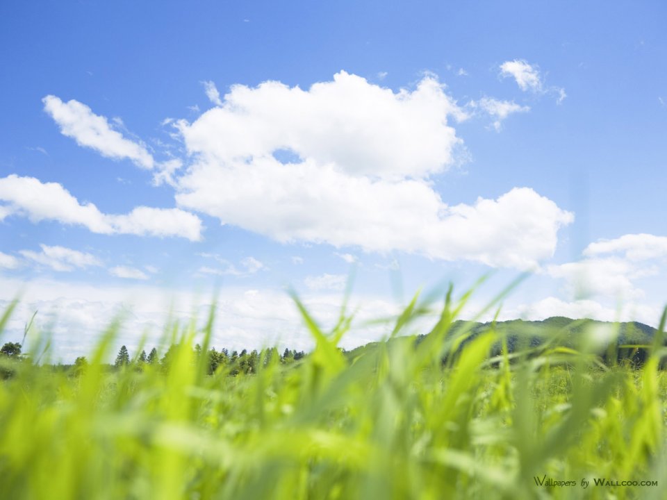 green-grassland-under-sky-photo-017