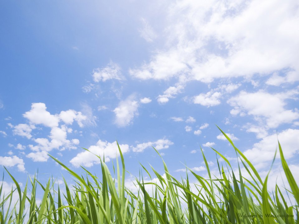 green-grassland-under-sky-photo-024