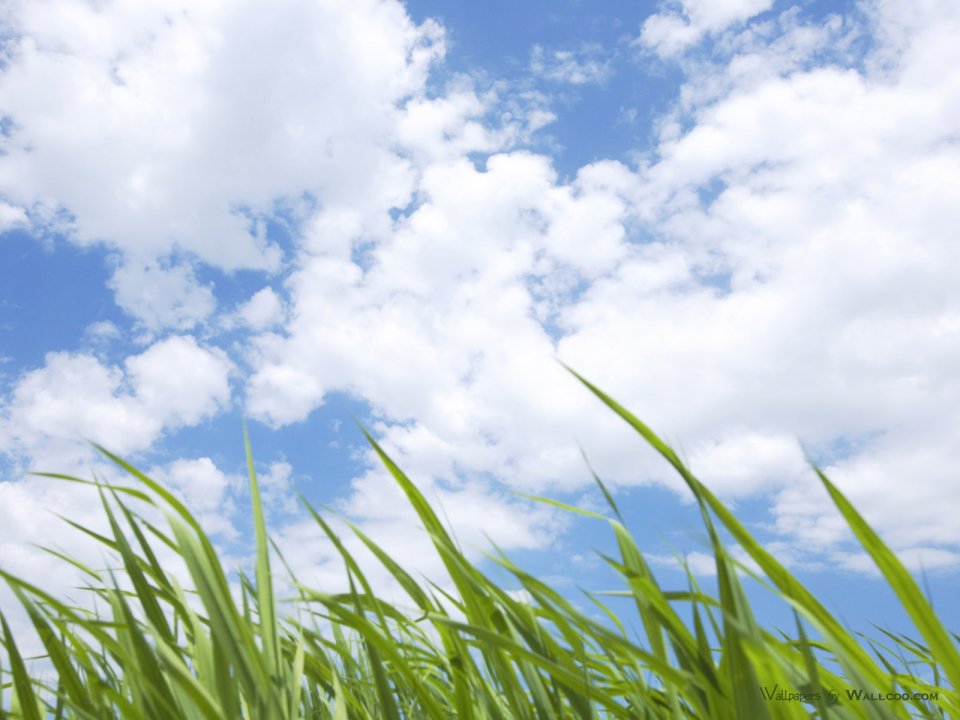 green-grassland-under-sky-photo-025