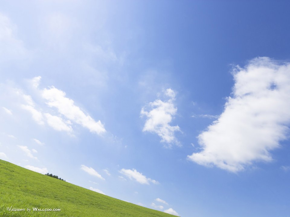 green-grassland-under-sky-photo-041