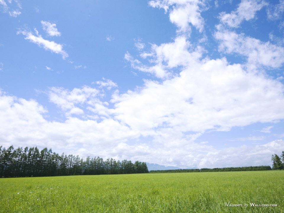 green-grassland-under-sky-photo-047