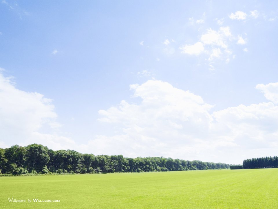 green-grassland-under-sky-photo-048