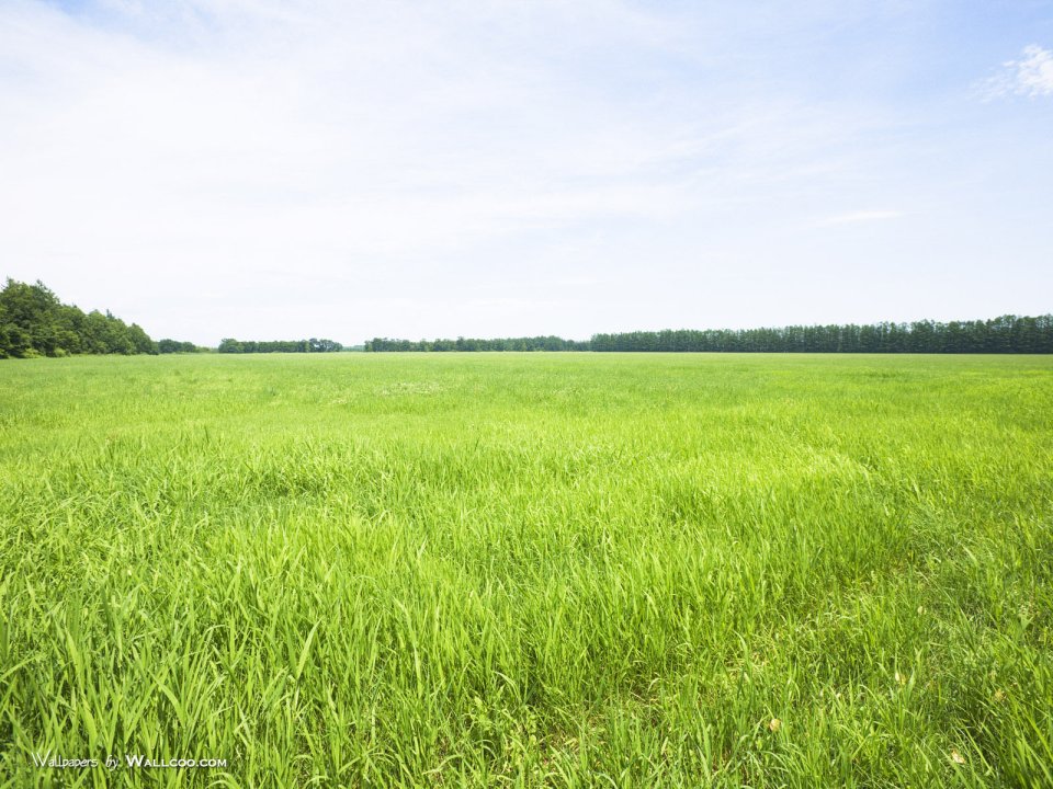 green-grassland-under-sky-photo-051