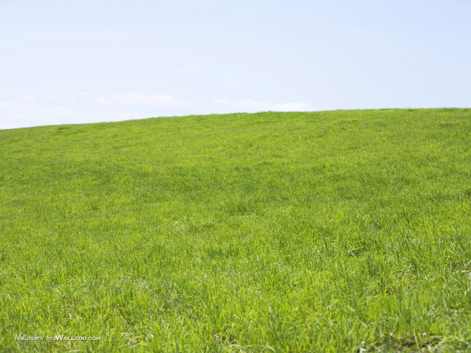 green-grassland-under-sky-photo-055