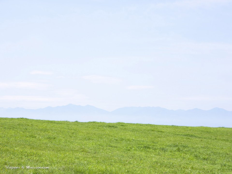 green-grassland-under-sky-photo-056