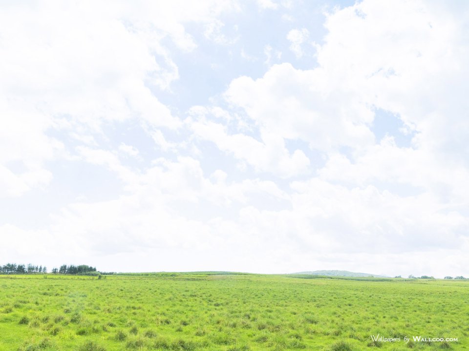 green-grassland-under-sky-photo-058