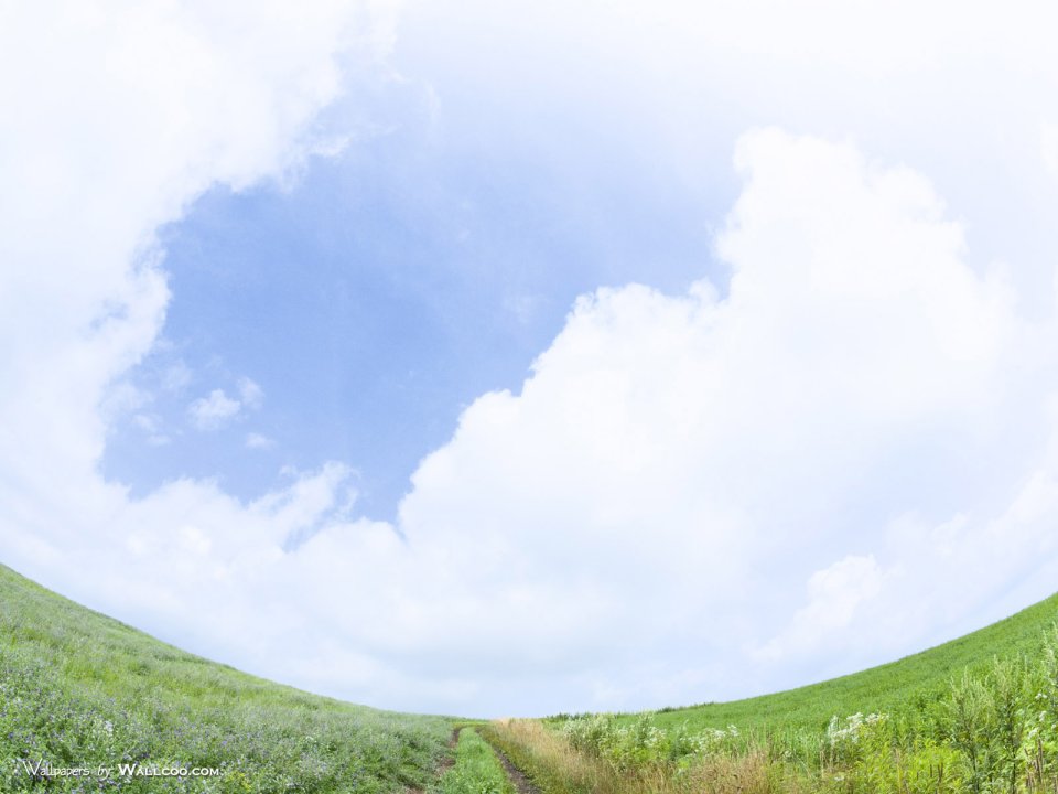 green-grassland-under-sky-photo-061