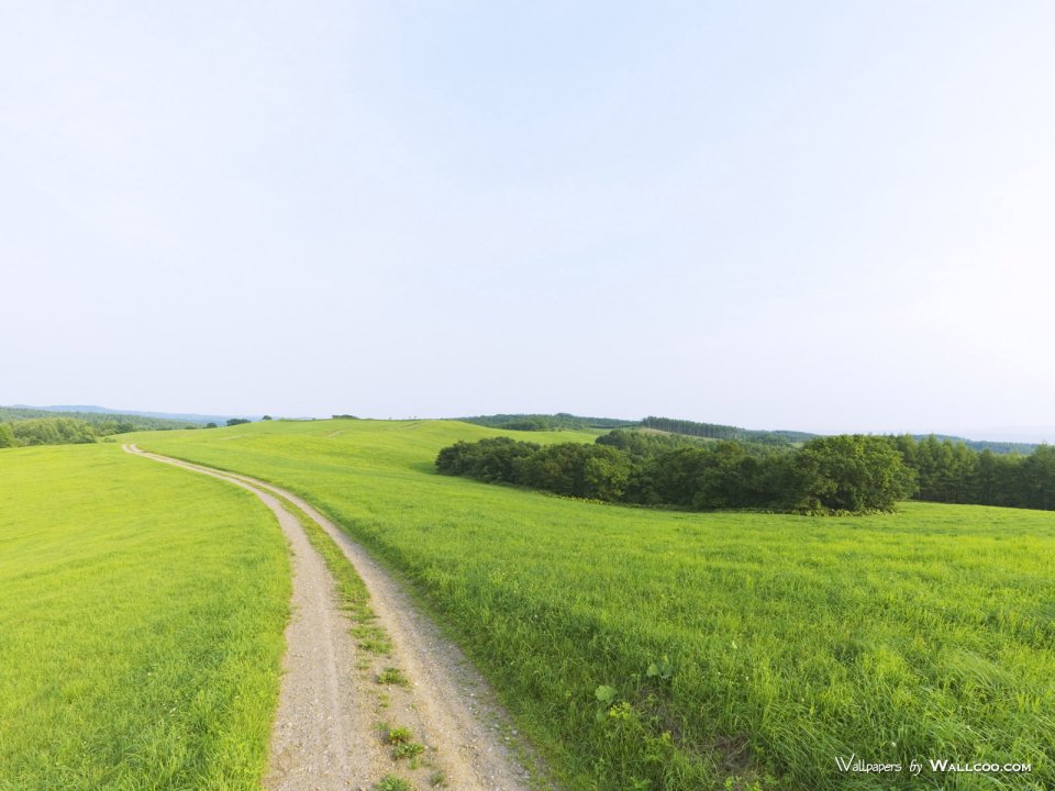 green-grassland-under-sky-photo-066