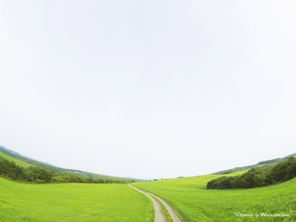 green-grassland-under-sky-photo-068