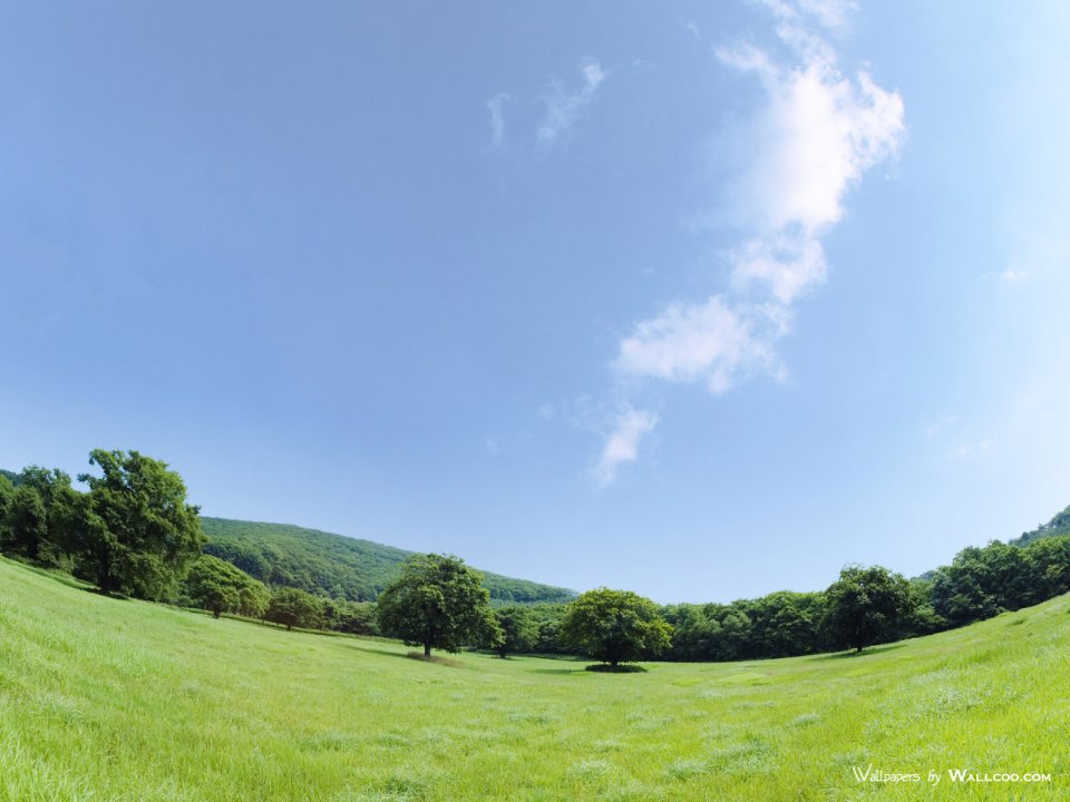 green-grassland-under-sky-photo-071