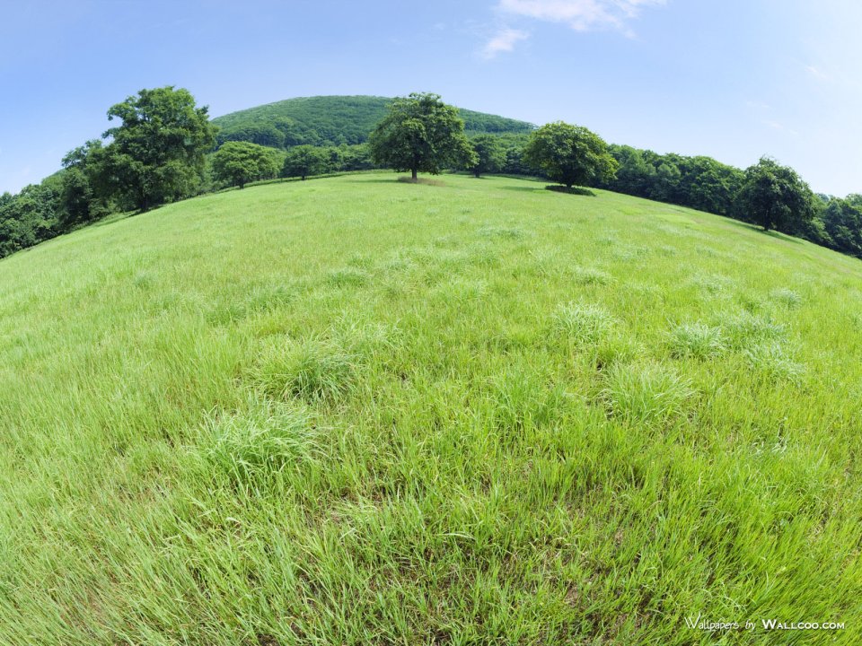 green-grassland-under-sky-photo-072