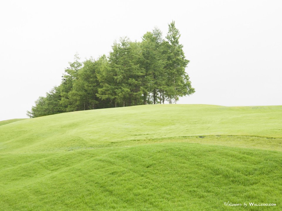 green-grassland-under-sky-photo-138