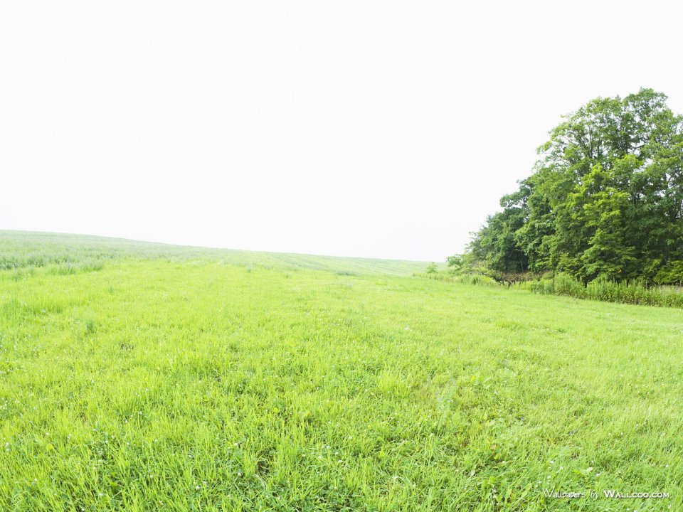 green-grassland-under-sky-photo-139