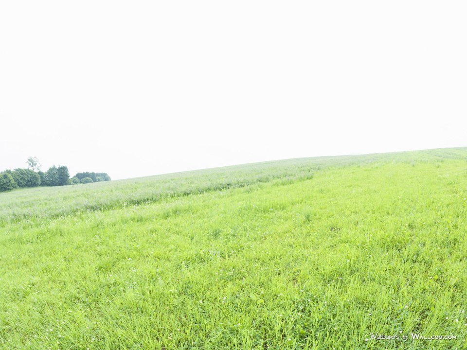 green-grassland-under-sky-photo-140
