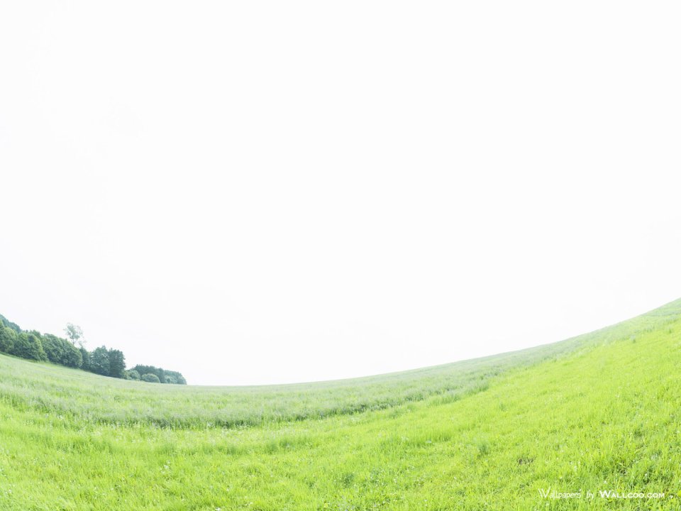 green-grassland-under-sky-photo-141