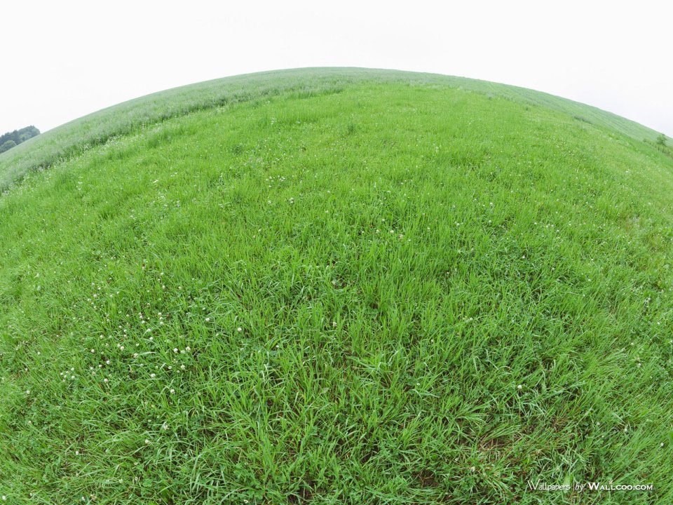 green-grassland-under-sky-photo-143