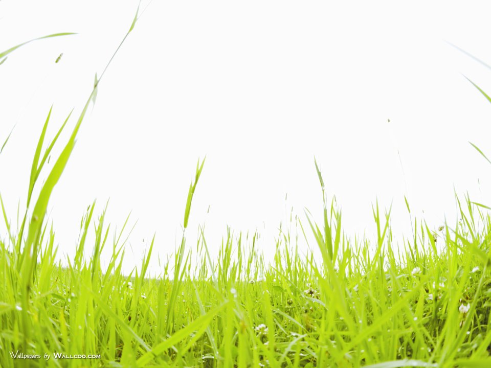green-grassland-under-sky-photo-160