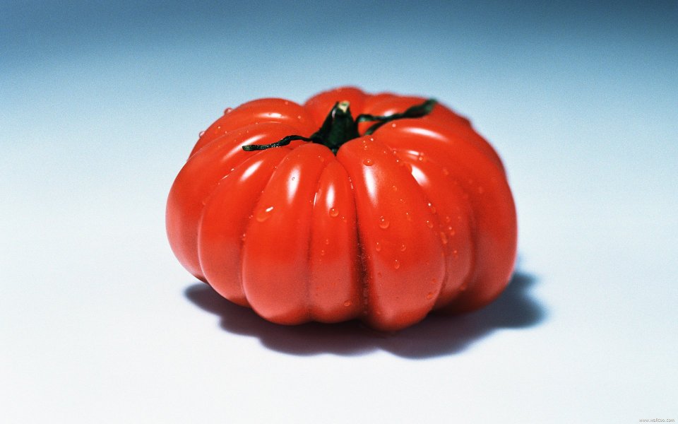 Heirloom tomato, close-up