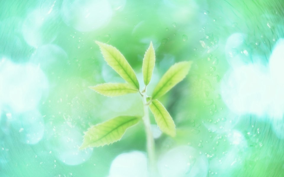 HJ022_350A