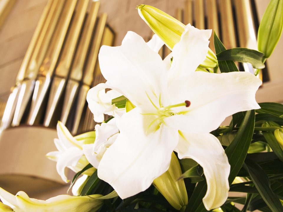HR184_350A_Wedding_Fowers