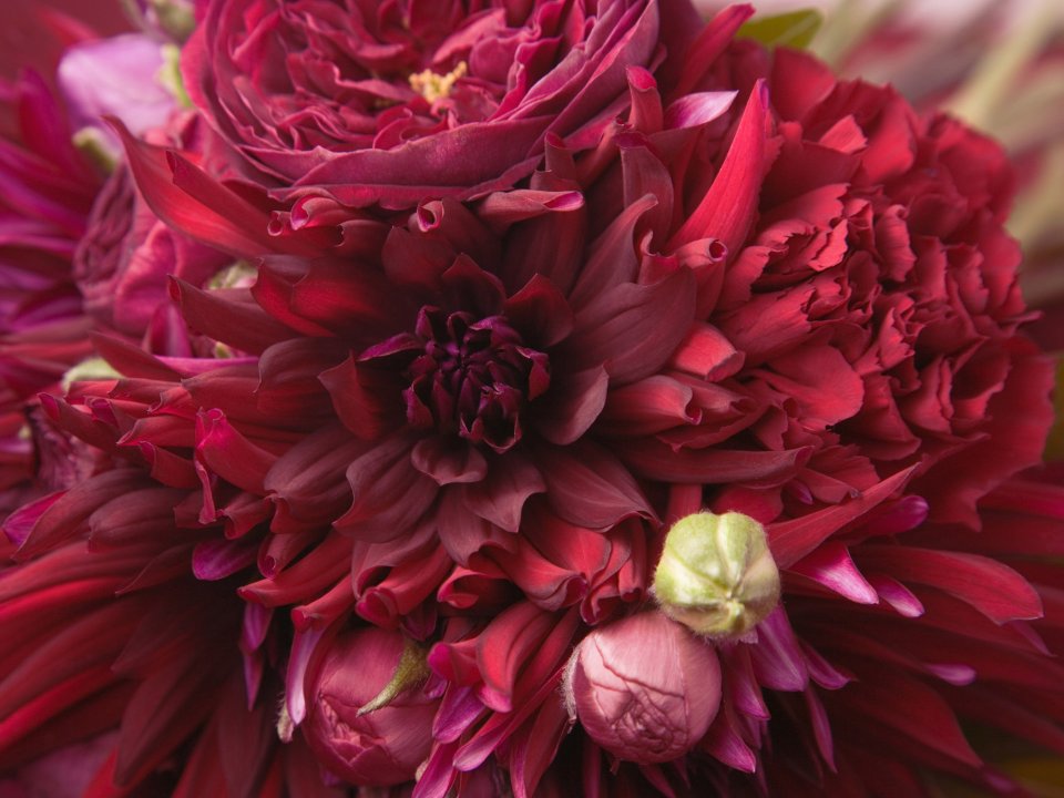 HR196_350A_Wedding_Fowers