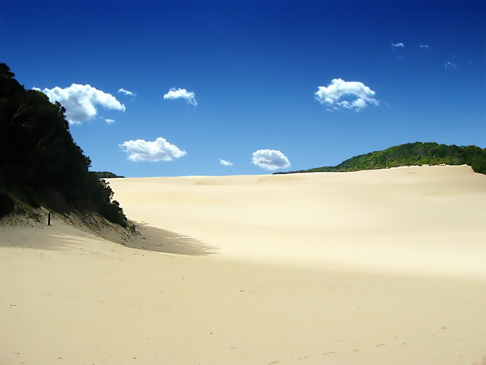 In_The_Dunes