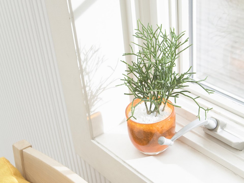 interior_decoration_16007