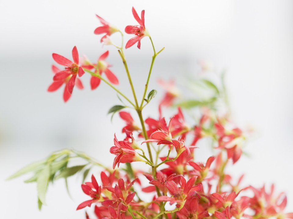 interior_decoration_16014