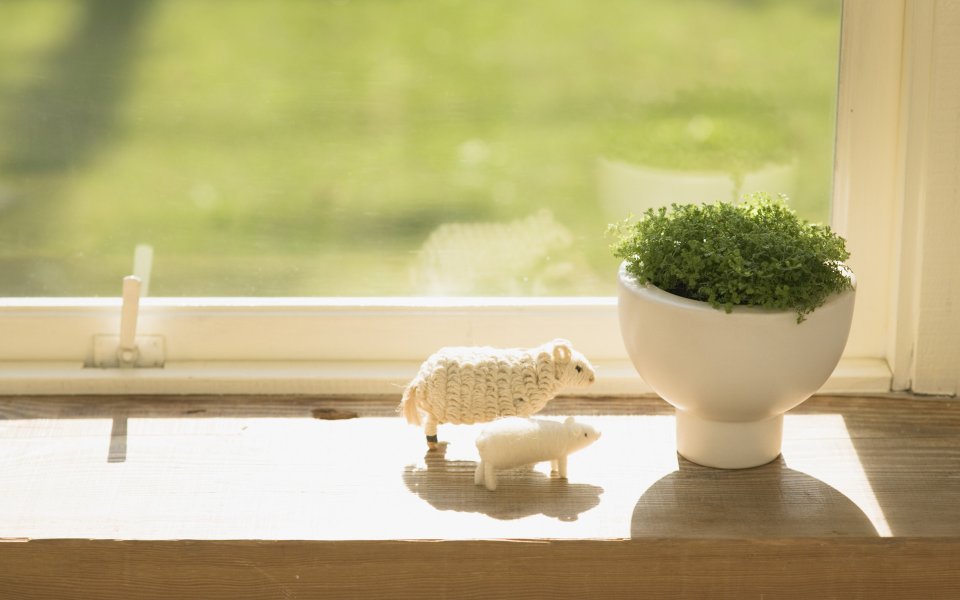 Interior_herb_HQ009