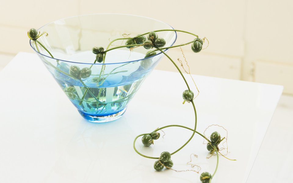 Interior_herb_HQ016